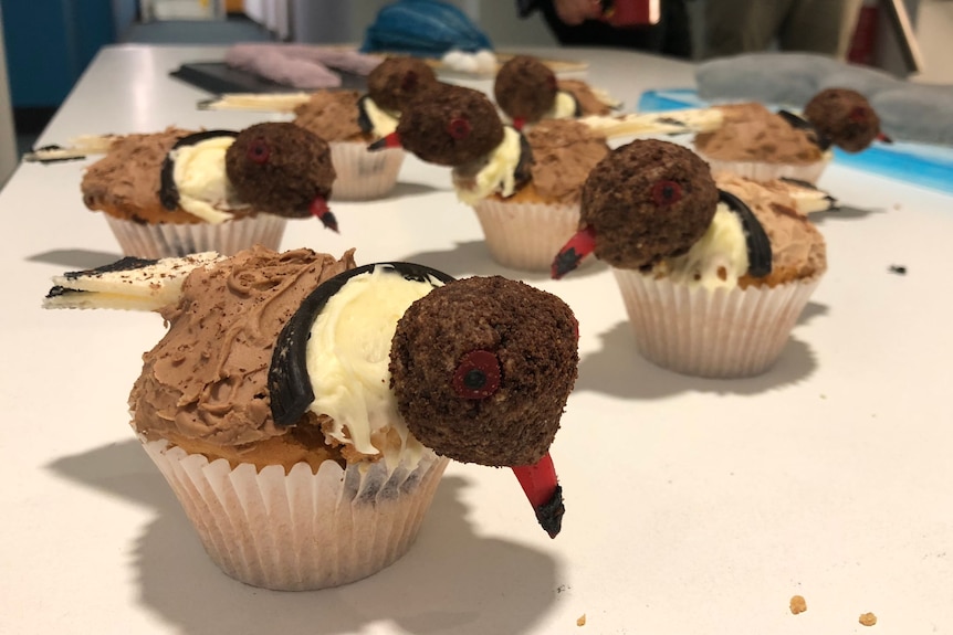 Cupcakes designed to represent brown and white striped birds.