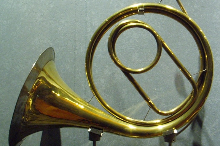 Photograph of a natural horn in a museum