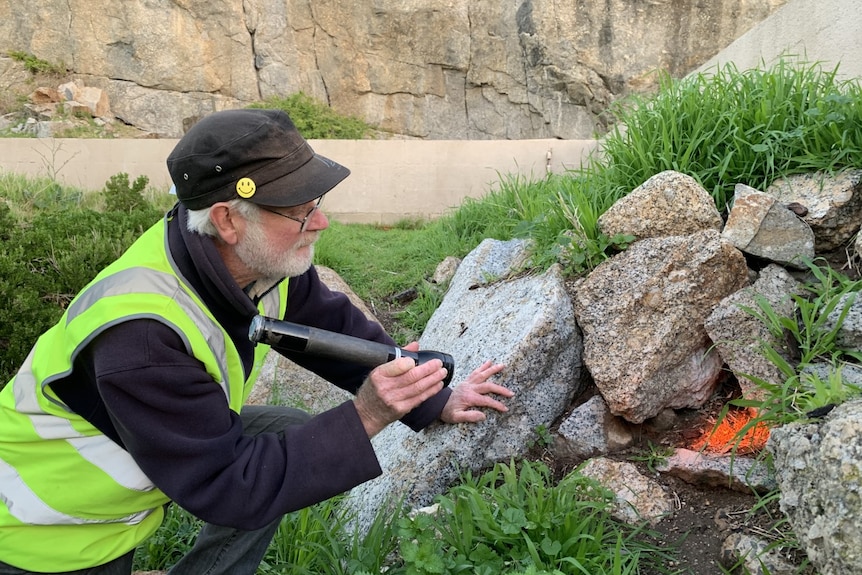 Stephen Hedges looks into a penguin burrow