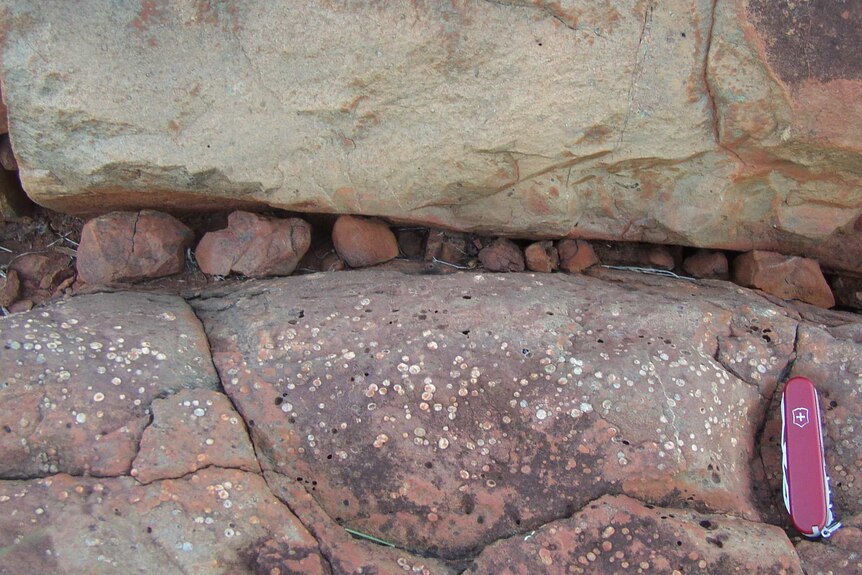 Gas bubbles (white dots) in lava flows from the shore of Australia's Beasley River