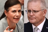 A compilation picture of Concetta Fierravanti-Wells on the left and Scott Morrison on the right