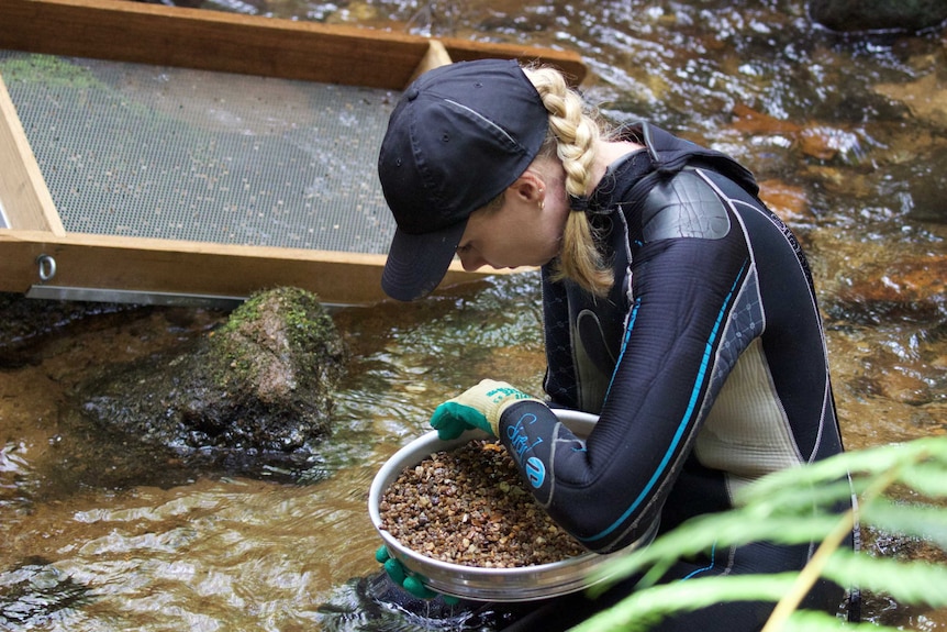 Selina Sheedy panning for gems.