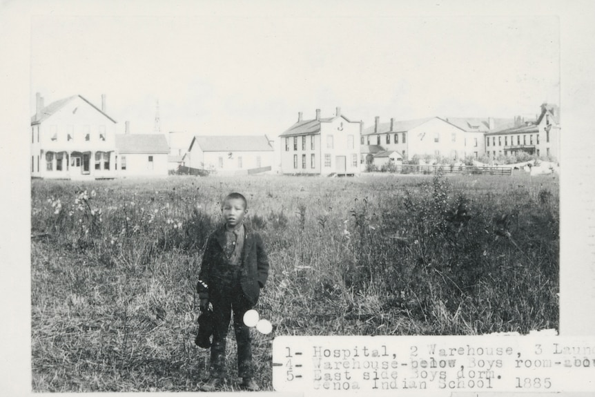 A boy stands in a field.