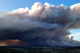 large smoke plume on the horizon