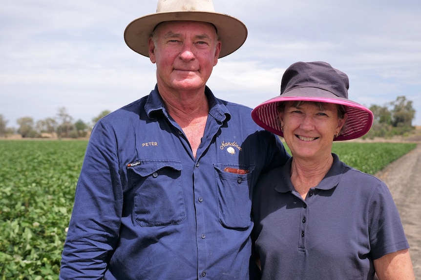 Peter and Diana French wearing hats, smiling, standing in front of a field of young cotton crops.