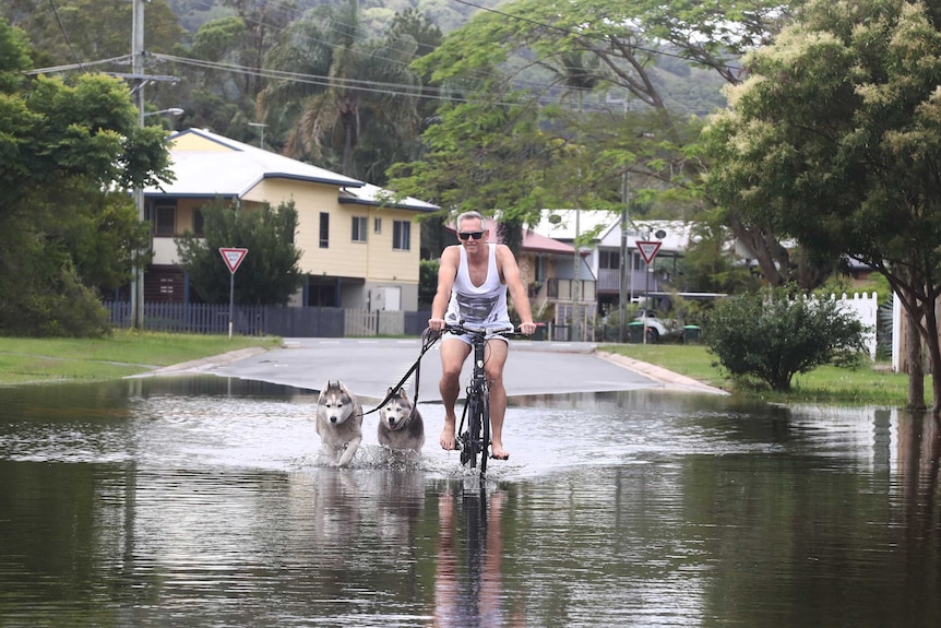 A man in a white singlet rides his bicycle leading dogs through a flooded street.