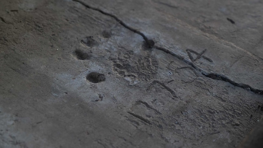 A small child's handprint in a concrete slab, with a date marked in 1954.
