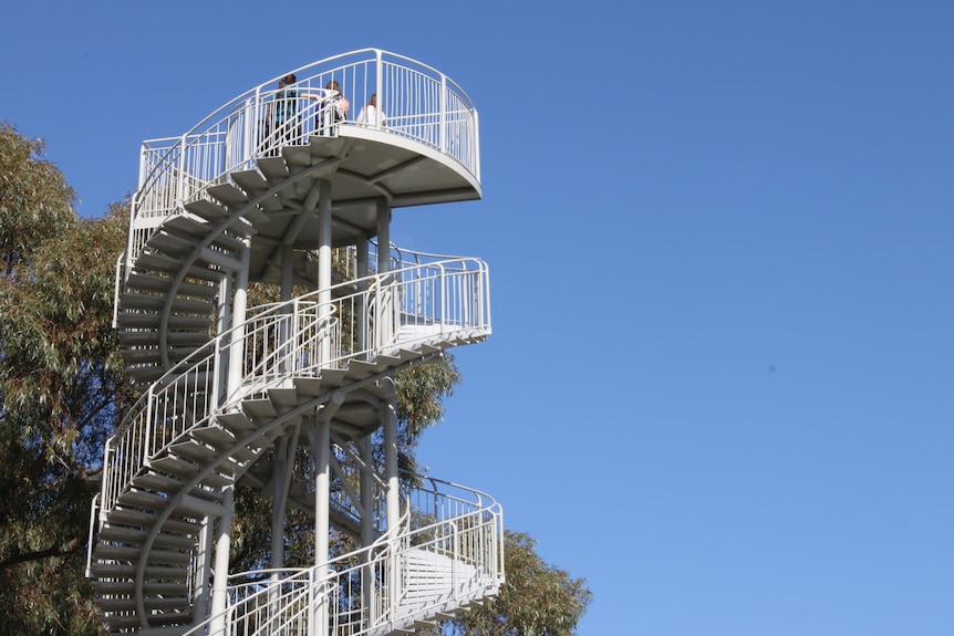 The DNA tower in Kings Park