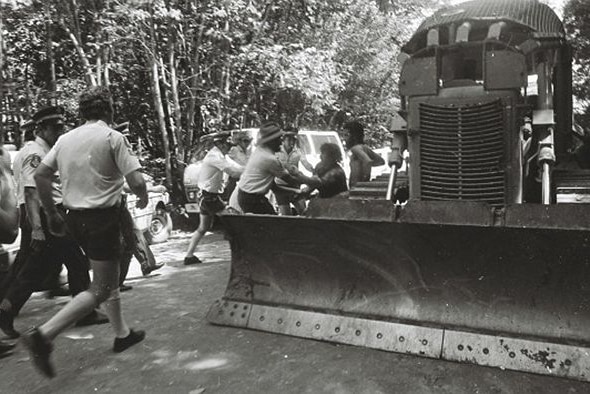 Daintree Blockade