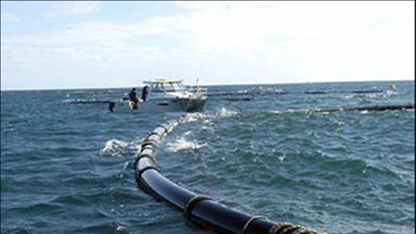 Storm hits abalone farming