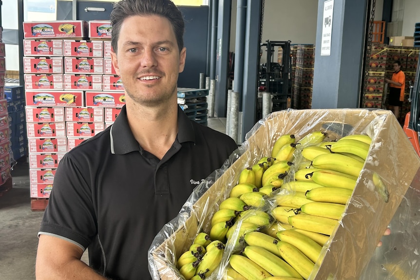A man stands and smiles as he holds a box of bananas in a packing shed