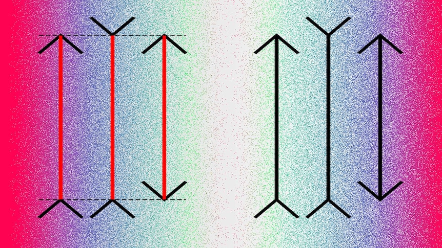 Two sets of arrows that exhibit the Müller-Lyer optical illusion.