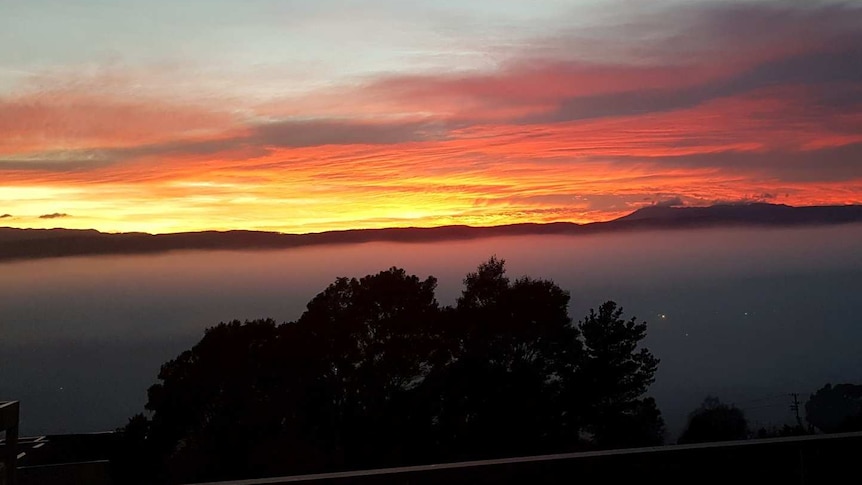 Fog over Launceston in 2019 as the sun rises, June 2019