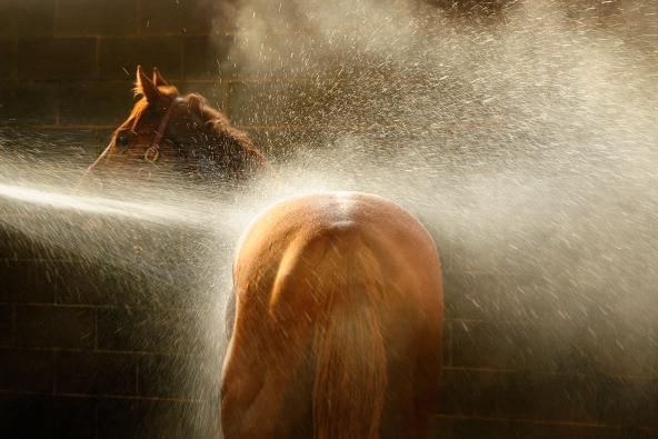 Hosing down