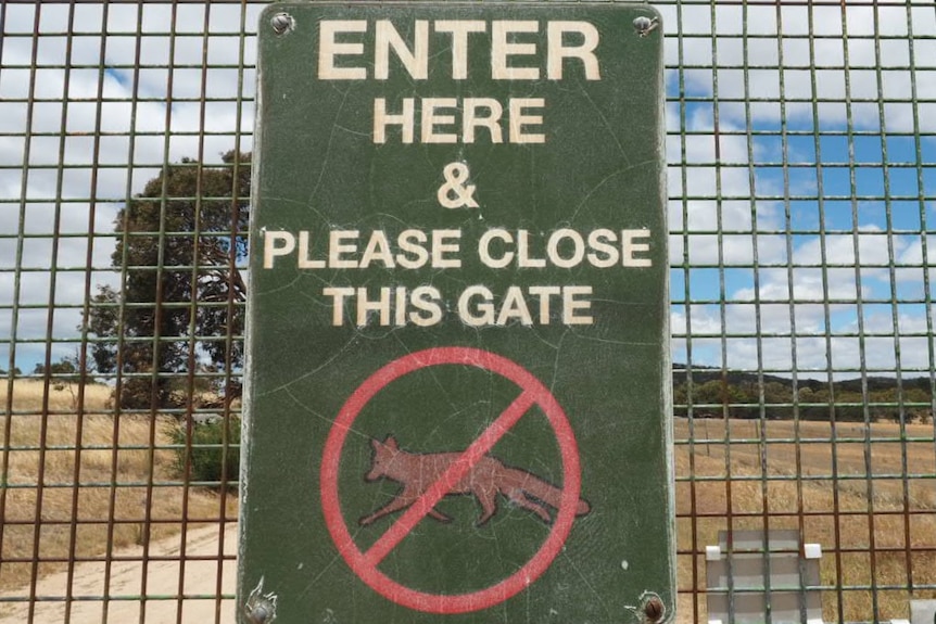 A sign on a gate says: Enter here and please close this gate. There's also picture of a fox with a red line through it.