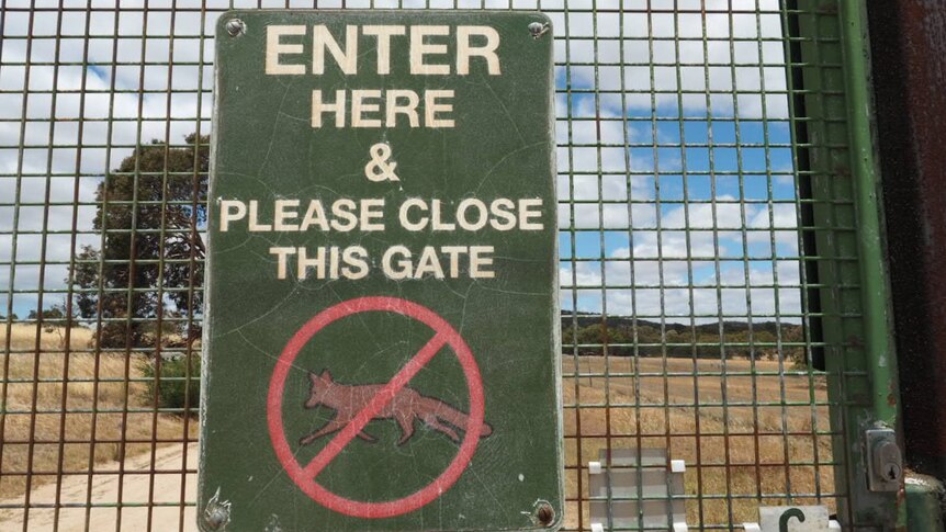 A sign on a gate says: Enter here and please close this gate. There's also picture of a fox with a red line through it.
