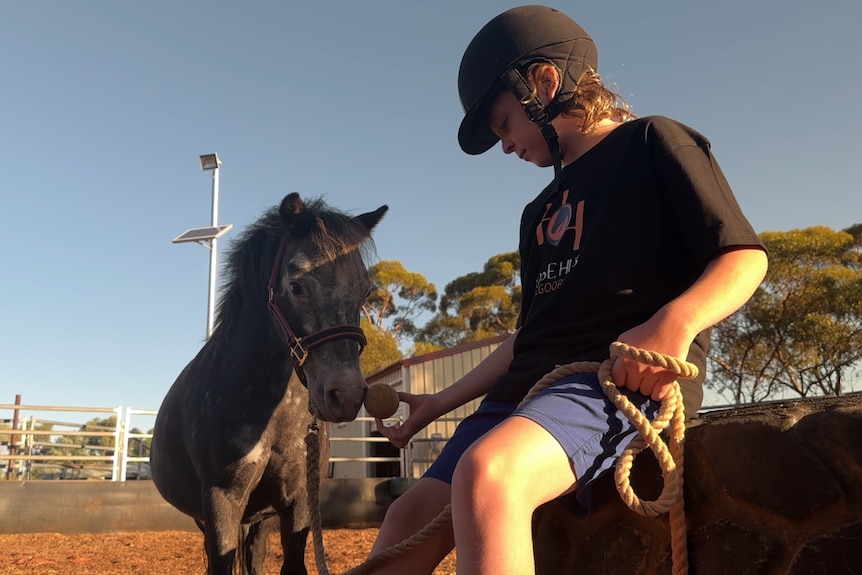 A boy with a horse.