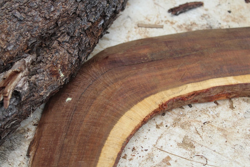 A close up photo of the corner of a boomerang, which has cracked