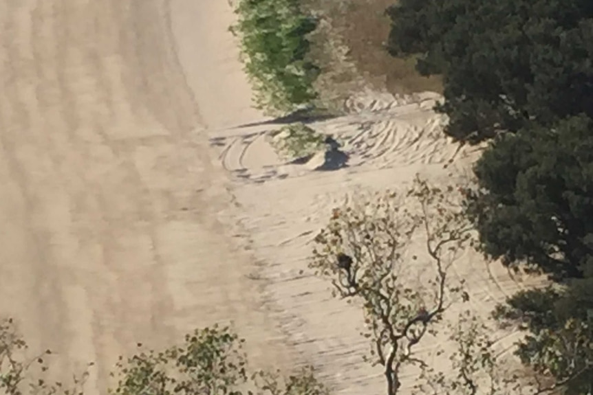 an aerial photograph of a beach that has machinery tracks on it, after excavation works