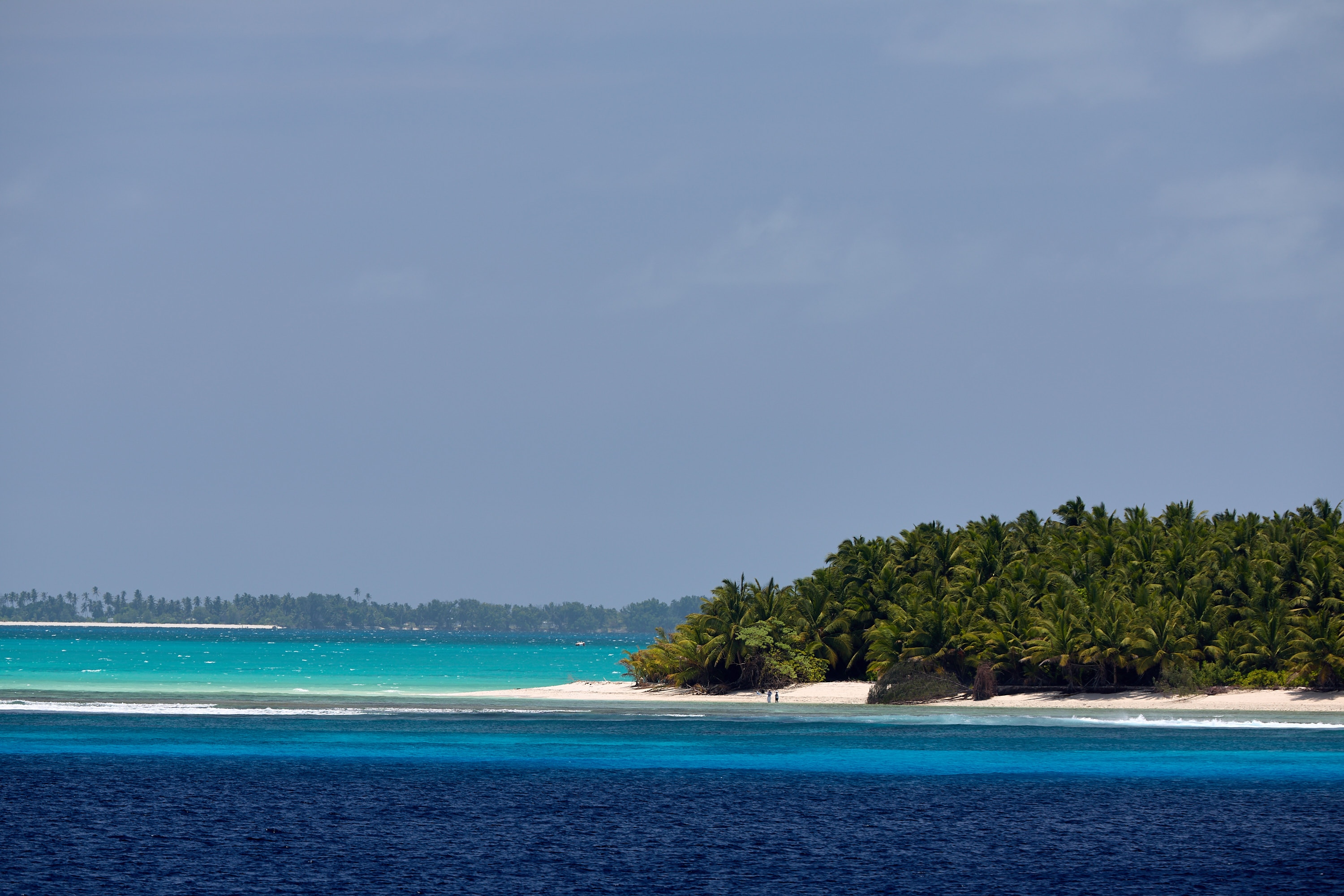 A picture of a beach with thick tree coverage on the island