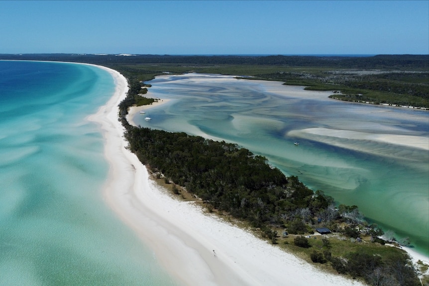 An aerial view of K'gari with the ocean on the left and bushland and a creek on the right.