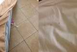 One reviewer posted photos showing a used condom and what appears to be blood on bedsheets.