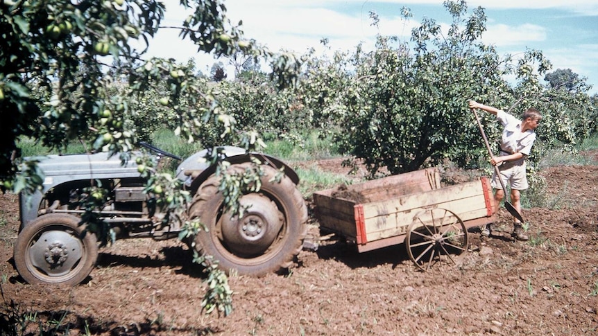 A boy at the Fairbridge Farm School