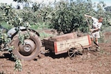 A boy at the Fairbridge Farm School