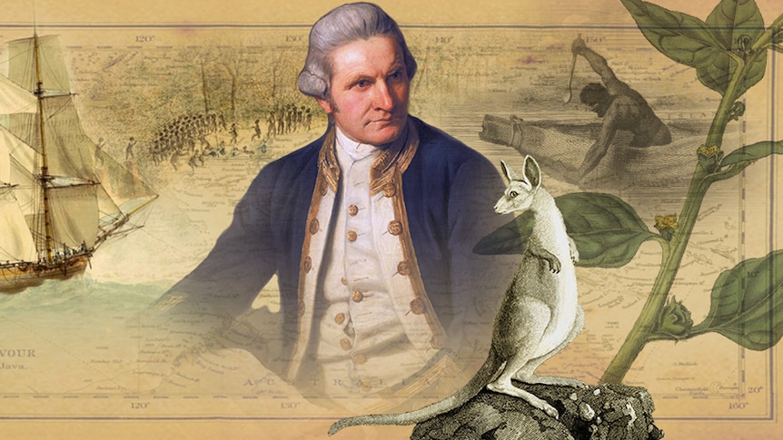 A montage of artworks, including Captain Cook, Indigenous Australians, a kangaroo and a plant.