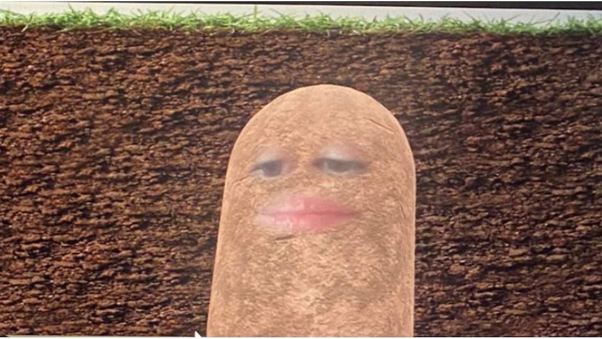 A picture of a potato with eyes and lips.