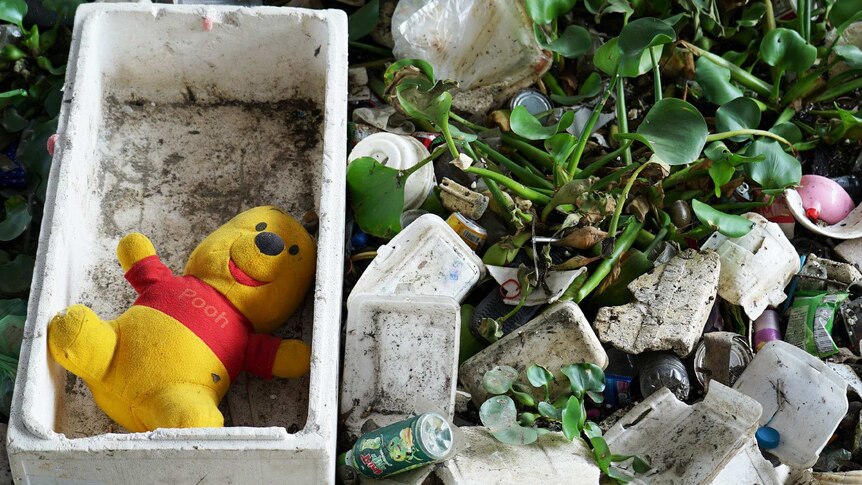 Styrofoam boxes, empty cans and a winnie the pooh toy sit amongst plants.