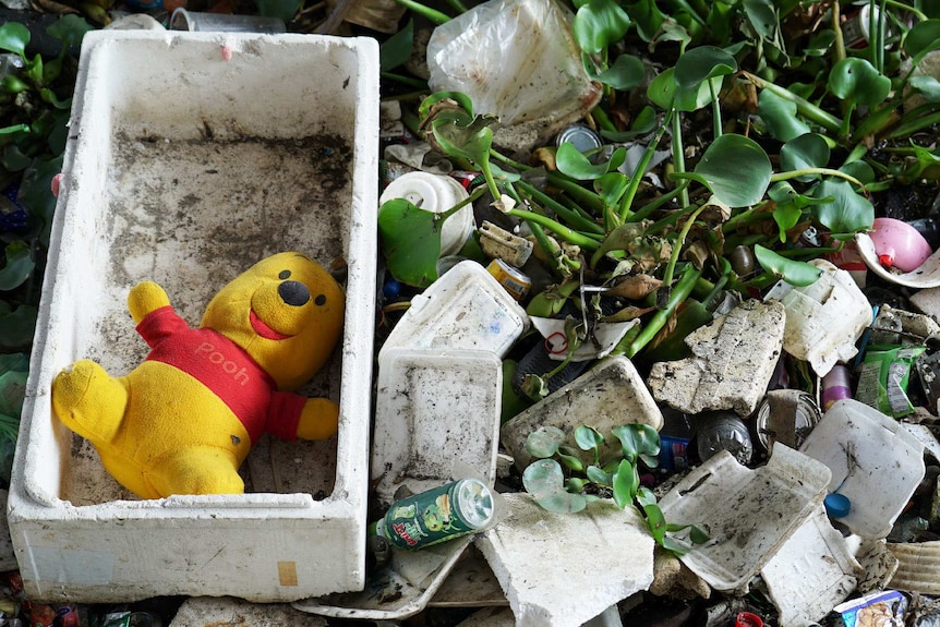 Styrofoam boxes, empty cans and a winnie the pooh toy sit amongst plants.