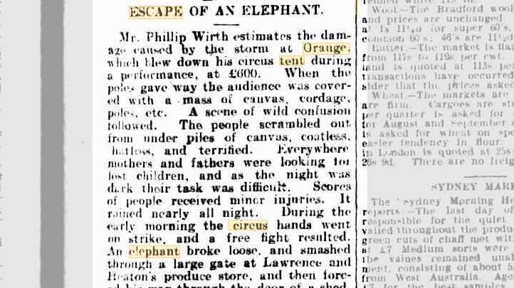 A black and white copy of an old newspaper article, titled 'Escape of an Elephant'