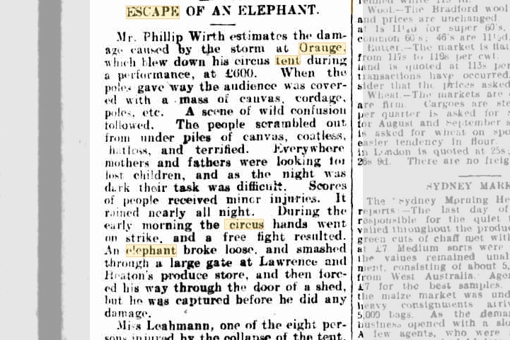 A black and white copy of an old newspaper article, titled 'Escape of an Elephant'