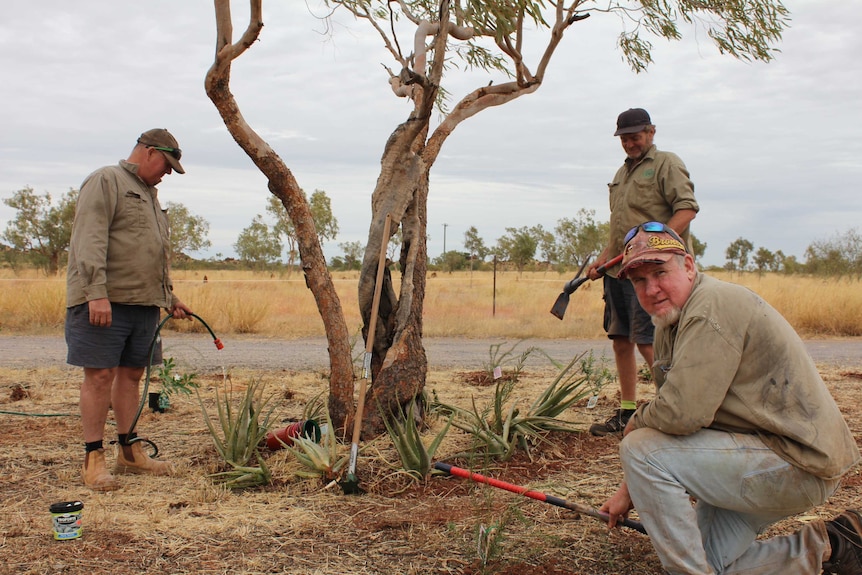 Three men are in an outback region, tending to a garden. One kneels, looking at the camera.