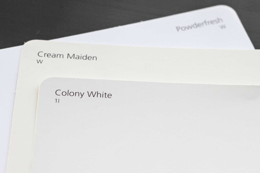 Paint chips show various shades of white.