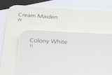 Paint chips show various shades of white.