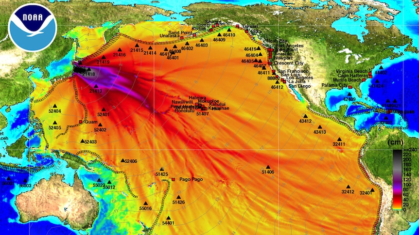 Maximum wave amplitudes from Japan tsunami