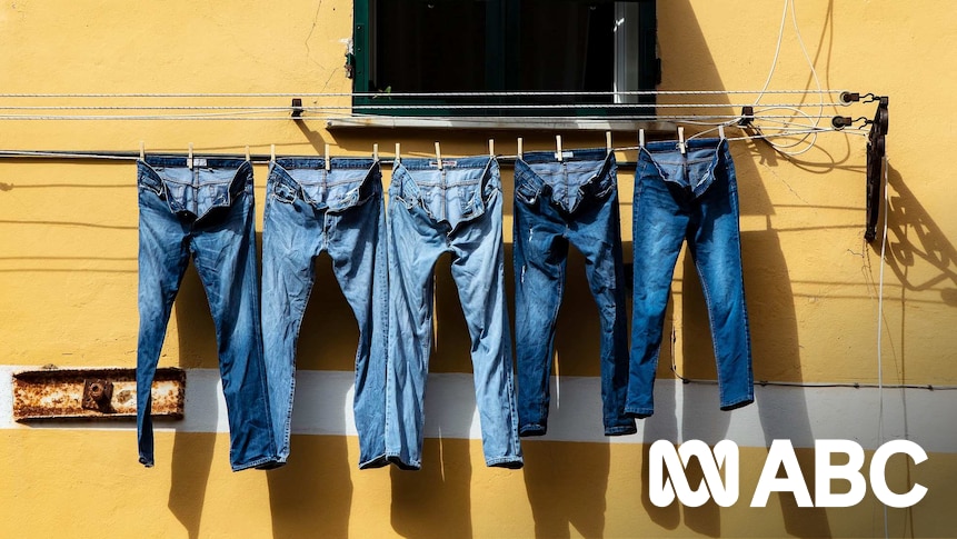 weten wassen rechtbank Will new jeans really stretch a size? Three denim theories, explained - ABC  Everyday