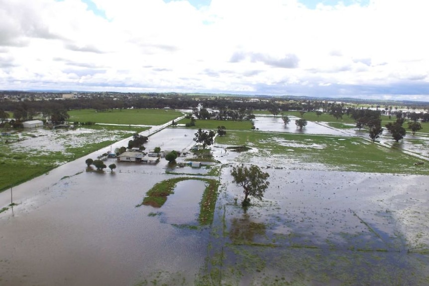 Floodwater lying in green paddocks and surrounding farmhouses