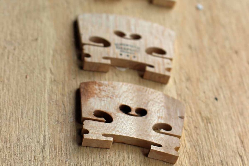 A close up shot of violin bridge pieces.