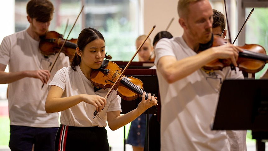 A group of violinists standing while performing.