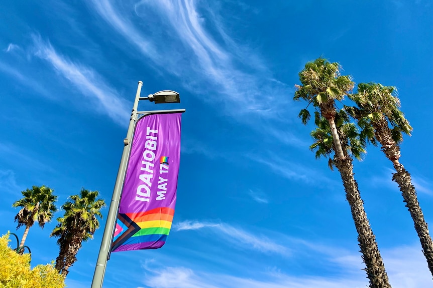 IDAHOBIT rainbow flag flying in front of bright blue sky and palm trees.