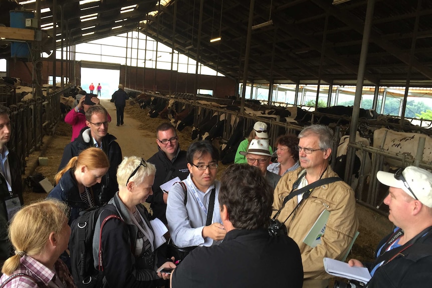 German dairy press pack