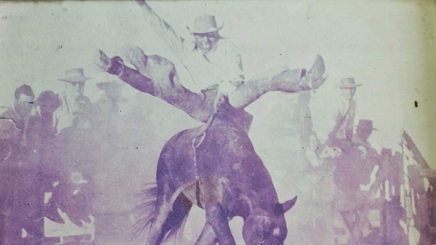 Bill Lawton at the Winton rodeo, 1953