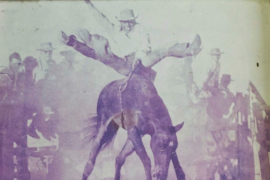 Bill Lawton at the Winton rodeo, 1953