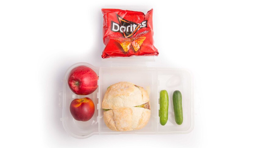 A beef, lettuce and relish roll, a packet of corn chips, two miniature cucumbers, a nectarine and an apple in a clear lunch box.