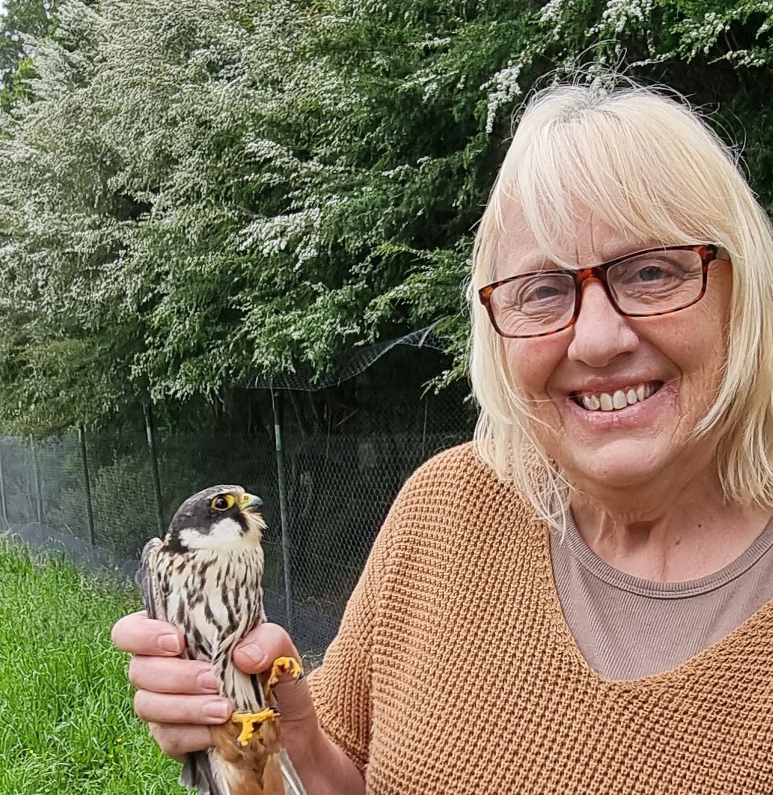 A woman in an orange jumper holding a Eurasian hobby owl