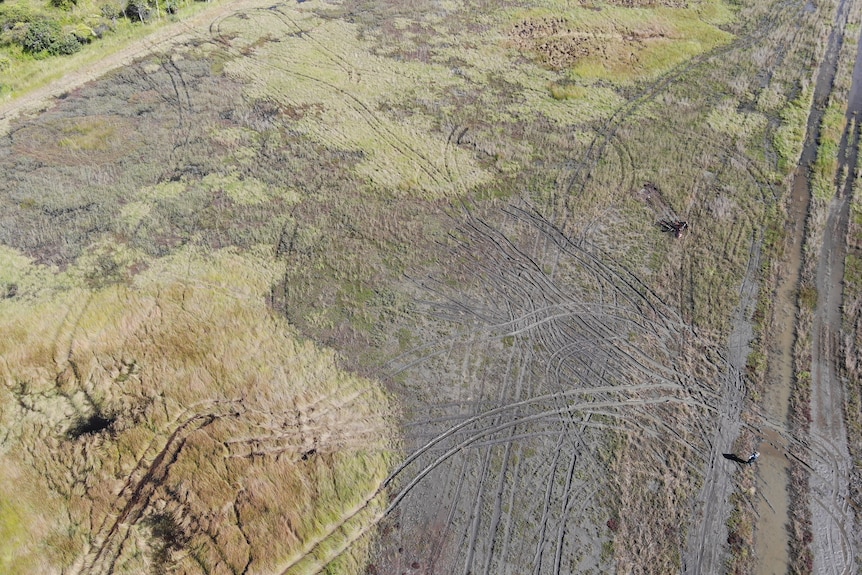 Drone shot of tyre tracks in bushland.
