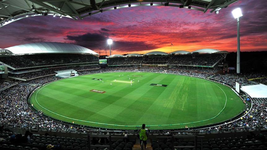 Adelaide Oval under lights on day one of first day-night Test between Australia and New Zealand.